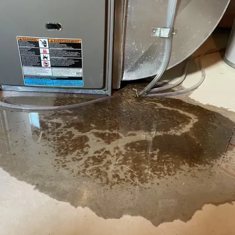 Appliance Leak Cleanup in Kelseyville, CA